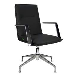 Кресло RV Design Crown-ST C1819